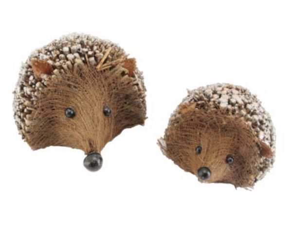 2 x Hedgehog Brothers 🛍