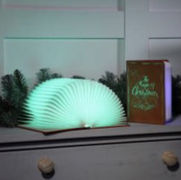 led Magic Christmas book 🚚🛍