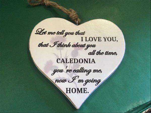 Caledonia heart hanger 🛍🚚