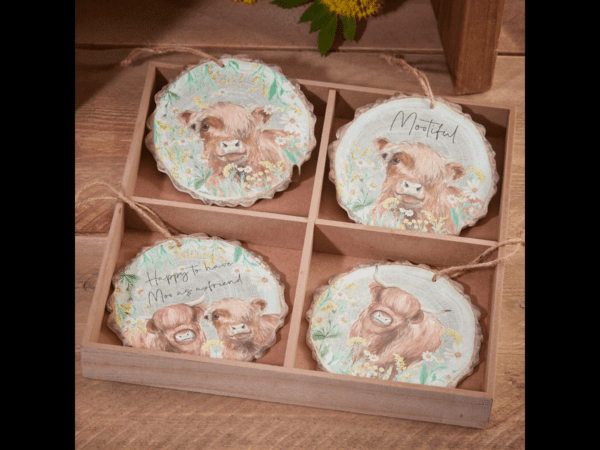Highland Cow Wooden Hanger 4 assorted